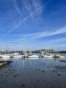 Sailboats docked in Howth