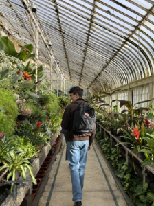 Picture of friend from behind at botanic gardens Belfast
